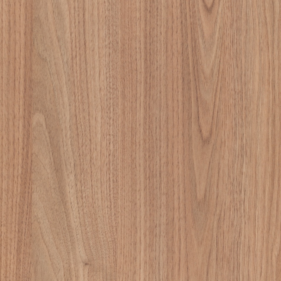 Tasmanian Oak